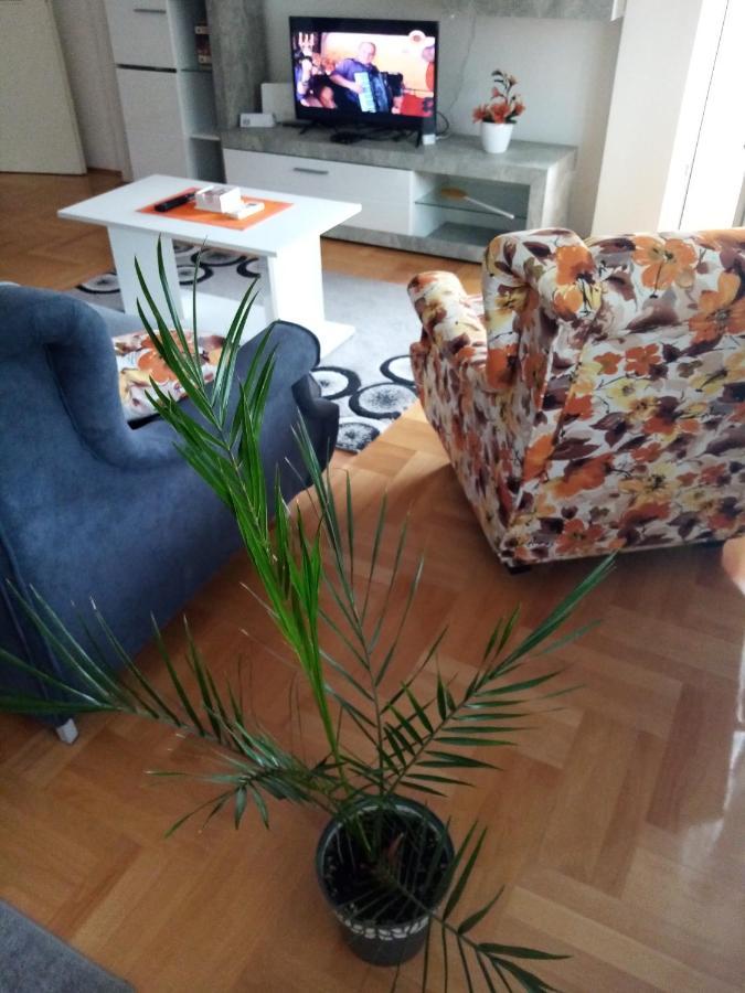 Apartman Maca 피로트 외부 사진